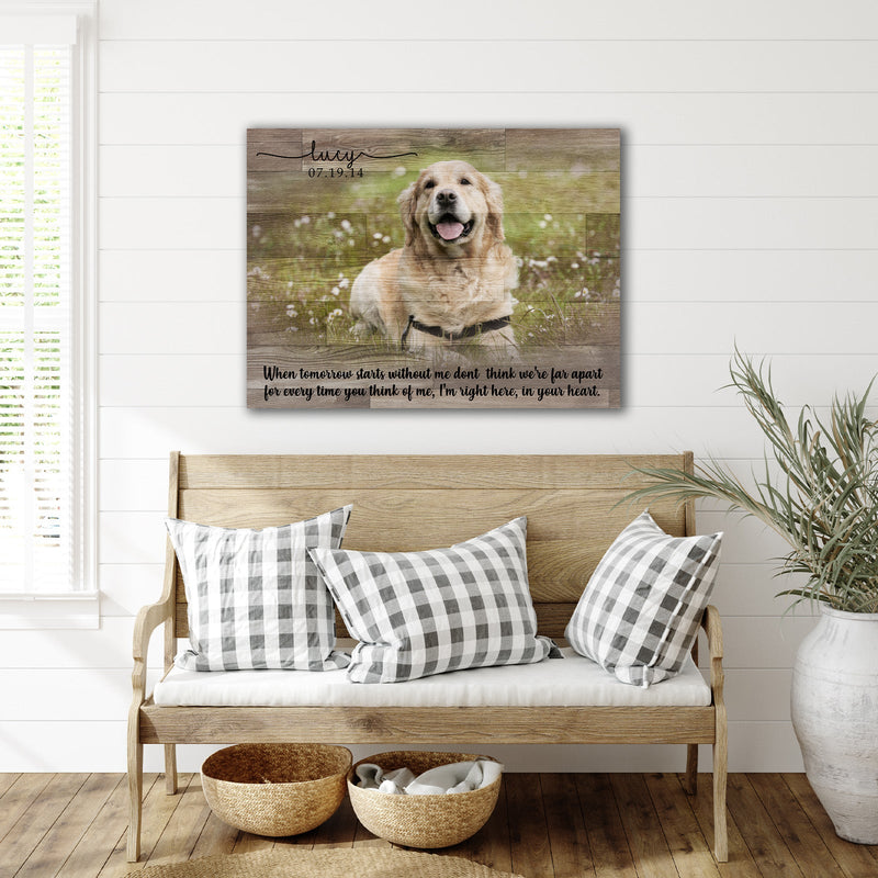 Colored Pet Memorial Sign