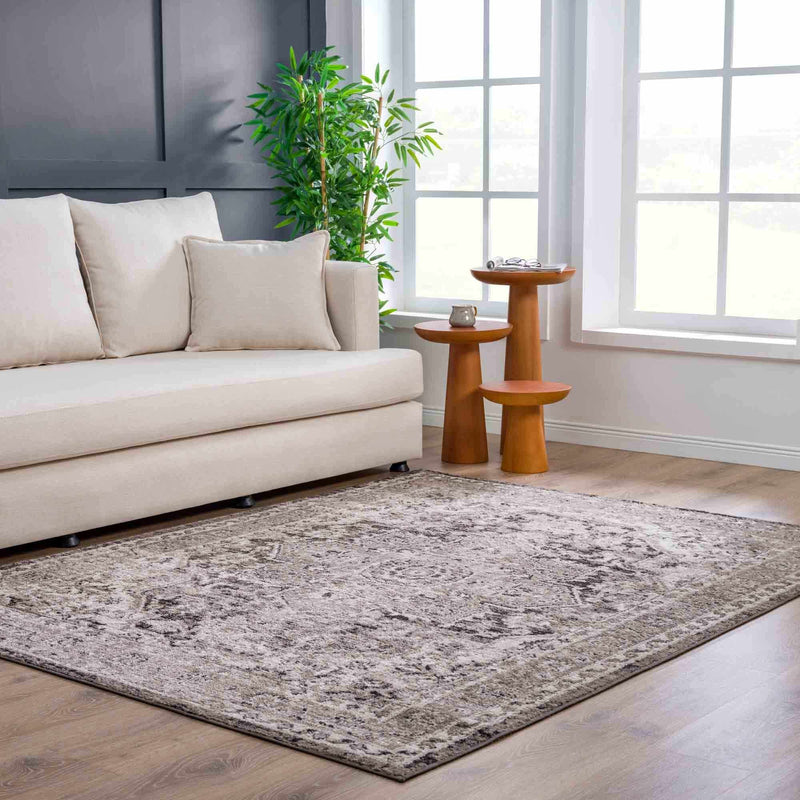 Albie Charcoal & Beige Area Rug