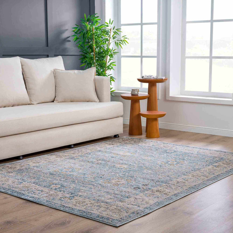 Anana Silver Blue & Beige Area Rug