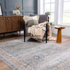 Anana Silver Blue & Beige Area Rug