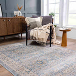 Anana Silver Blue & Beige Area Rug