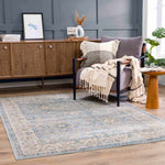 Anana Silver Blue & Beige Area Rug