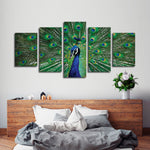 Peacock Feathers Wall Art
