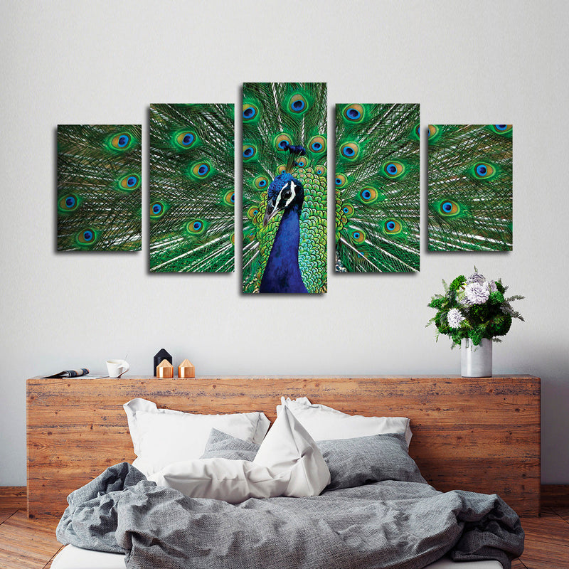 Peacock Feathers Wall Art