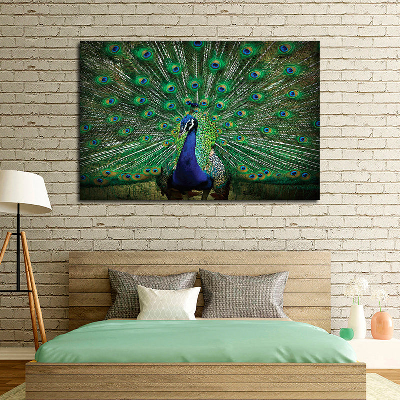 Peacock Feathers Wall Art