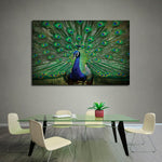 Peacock Feathers Wall Art