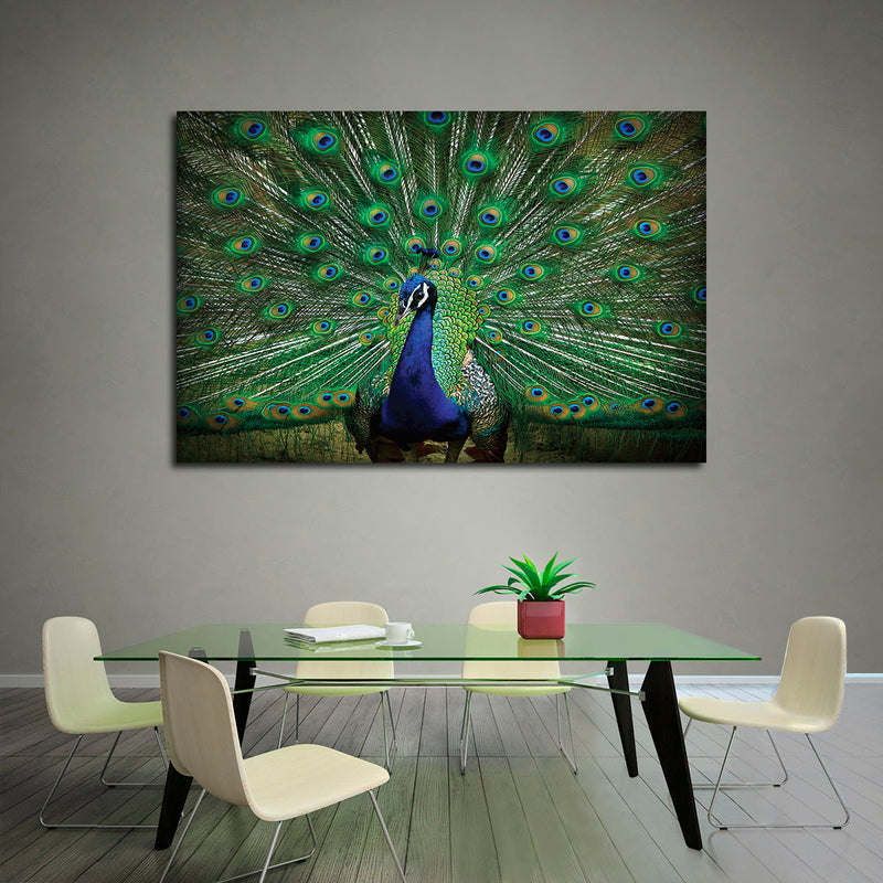 Peacock Feathers Wall Art