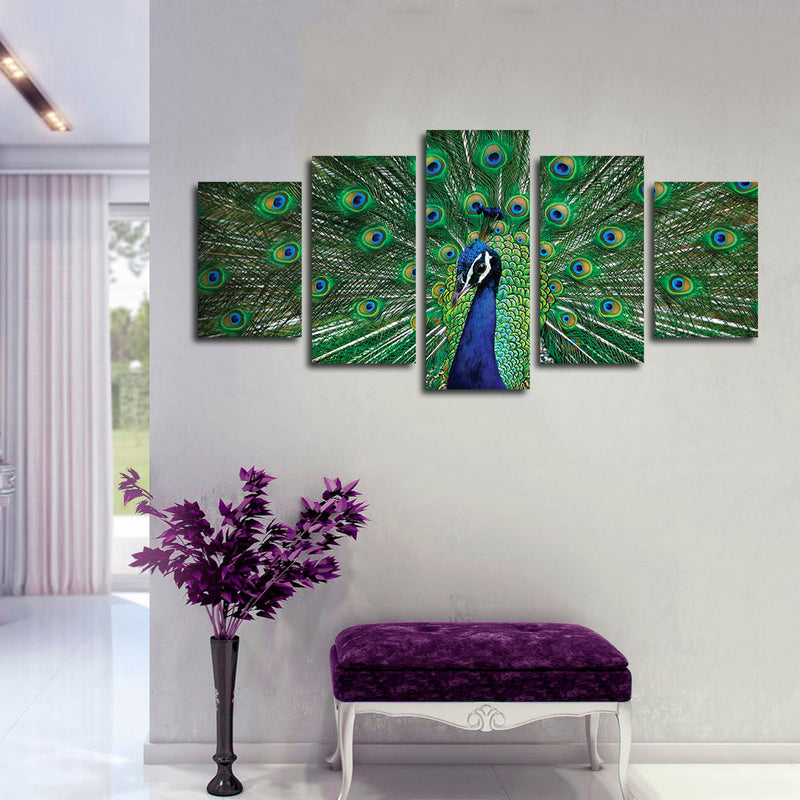 Peacock Feathers Wall Art