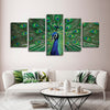 Peacock Feathers Wall Art