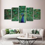 Peacock Feathers Wall Art
