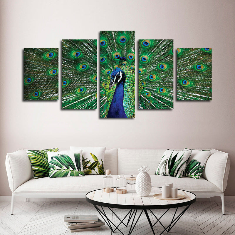 Peacock Feathers Wall Art
