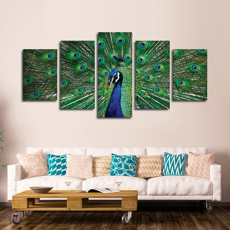 Peacock Feathers Wall Art