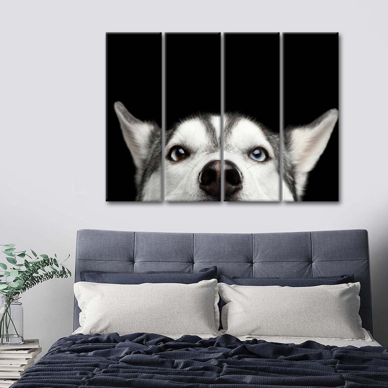 Peeking Siberian Husky Wall Art