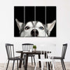 Peeking Siberian Husky Wall Art