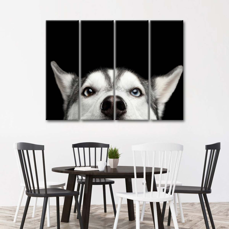 Peeking Siberian Husky Wall Art