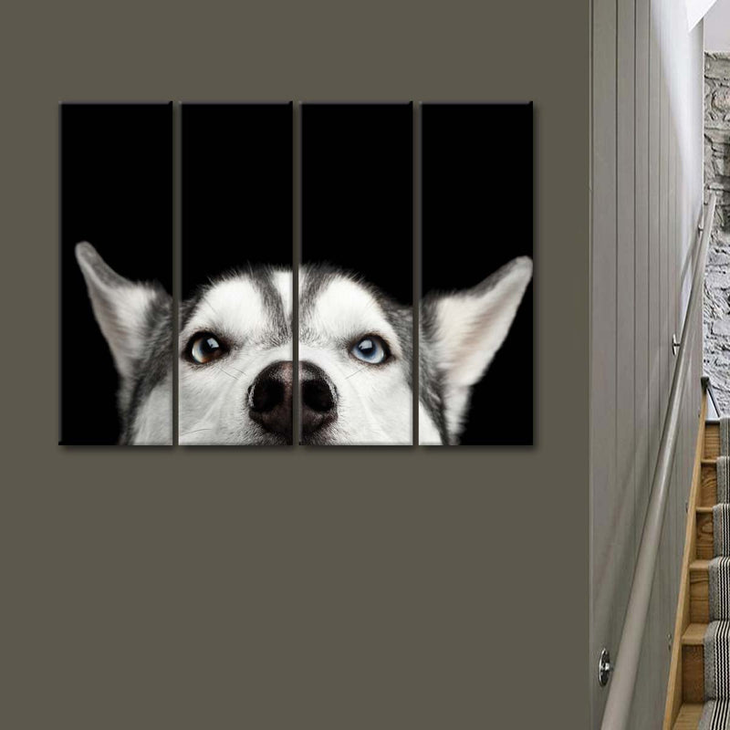 Peeking Siberian Husky Wall Art