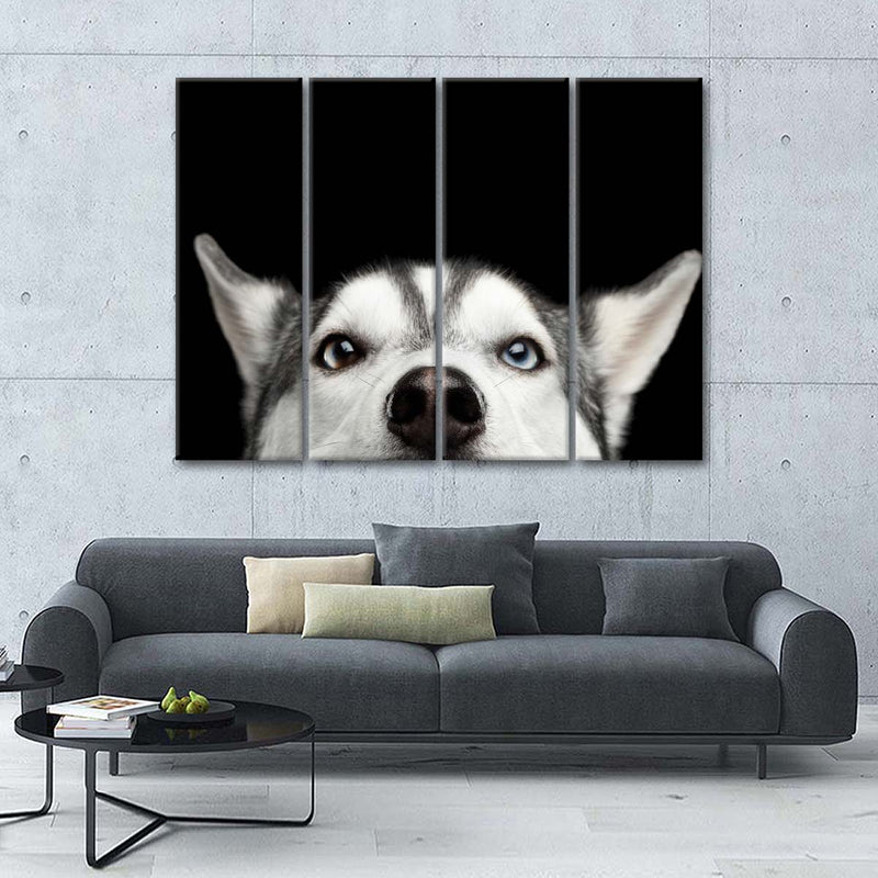 Peeking Siberian Husky Wall Art