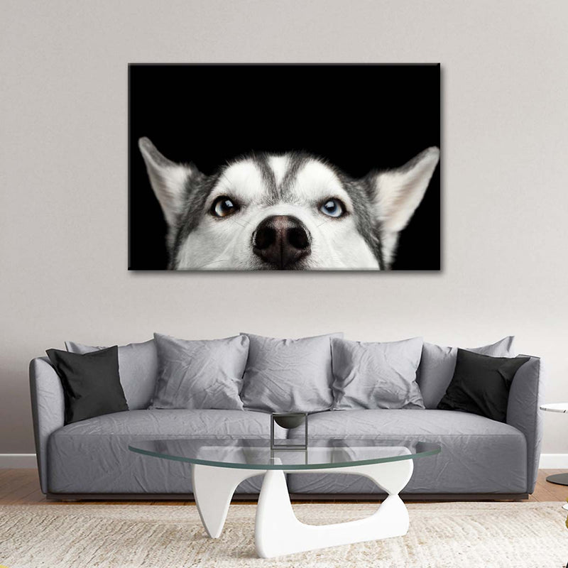 Peeking Siberian Husky Wall Art