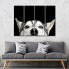 Peeking Siberian Husky Wall Art