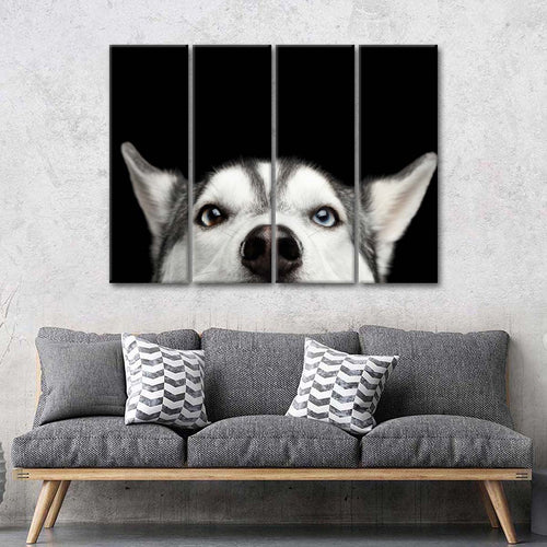 Peeking Siberian Husky Wall Art