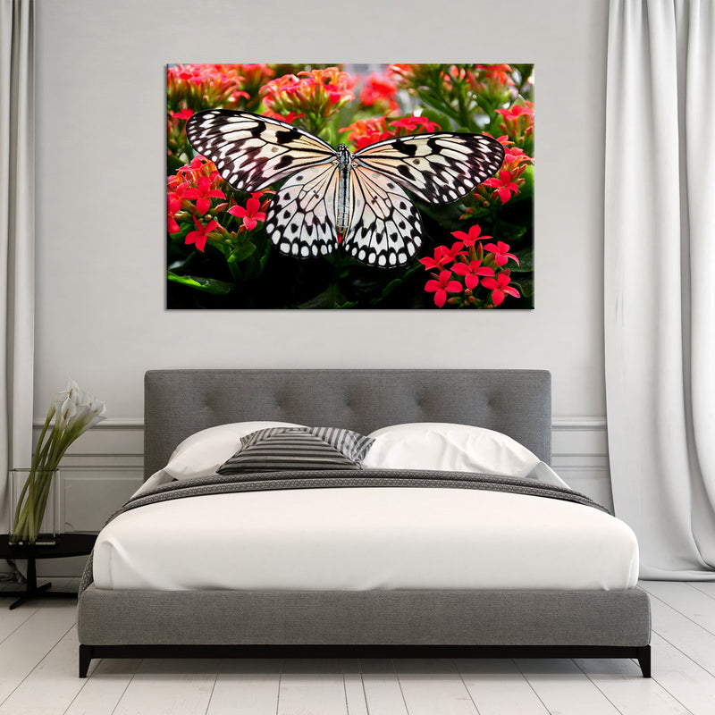 Pretty Butterfly Wall Art