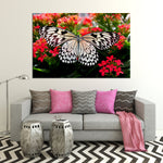 Pretty Butterfly Wall Art