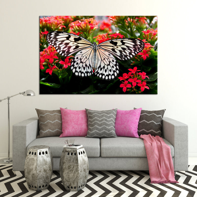 Pretty Butterfly Wall Art