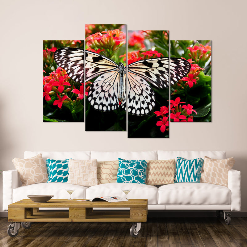 Pretty Butterfly Wall Art