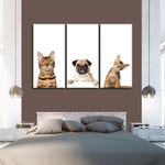 Pug And Cats Wall Art