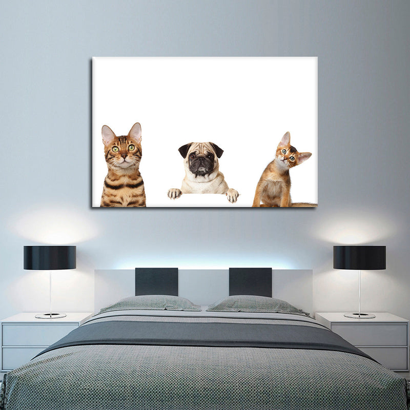 Pug And Cats Wall Art