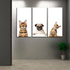 Pug And Cats Wall Art