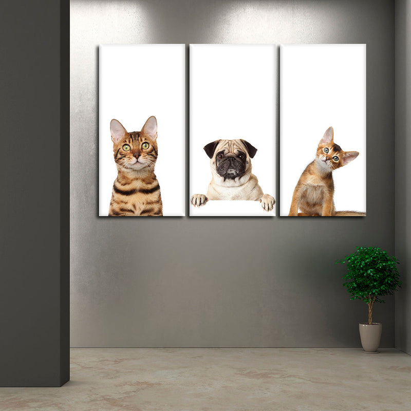 Pug And Cats Wall Art