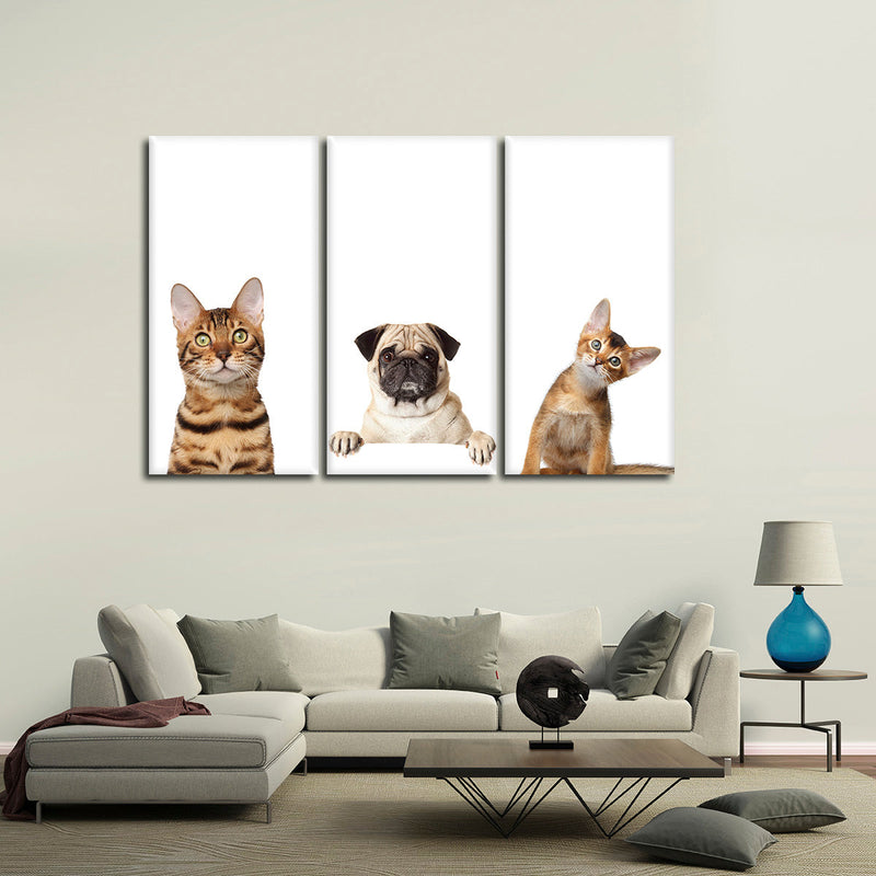 Pug And Cats Wall Art