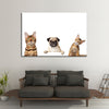 Pug And Cats Wall Art