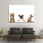 Pug And Cats Wall Art