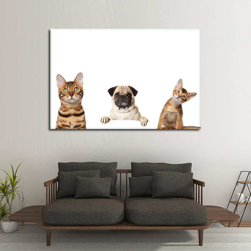 Pug And Cats Wall Art