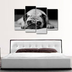 Sad Pug Wall Art