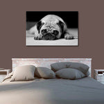 Sad Pug Wall Art