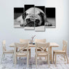 Sad Pug Wall Art