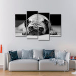 Sad Pug Wall Art