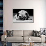 Sad Pug Wall Art