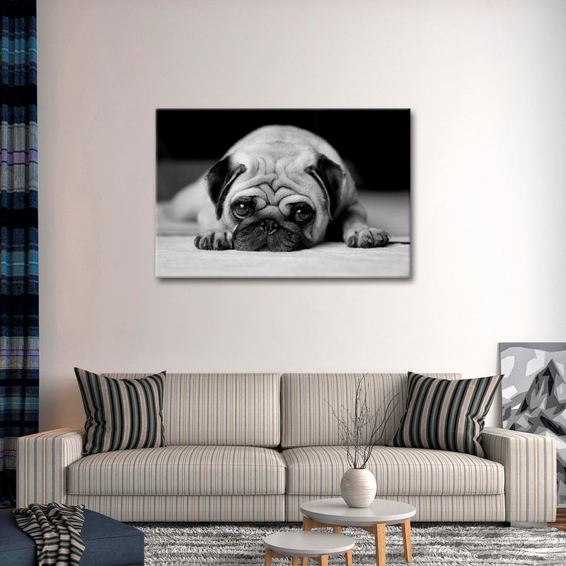 Sad Pug Wall Art