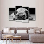 Sad Pug Wall Art