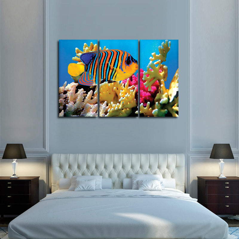 Queen Angelfish Wall Art