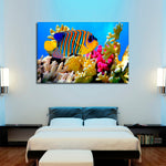 Queen Angelfish Wall Art