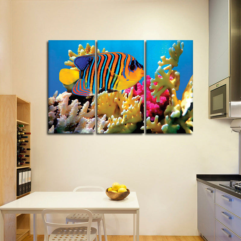 Queen Angelfish Wall Art