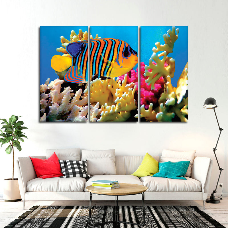 Queen Angelfish Wall Art