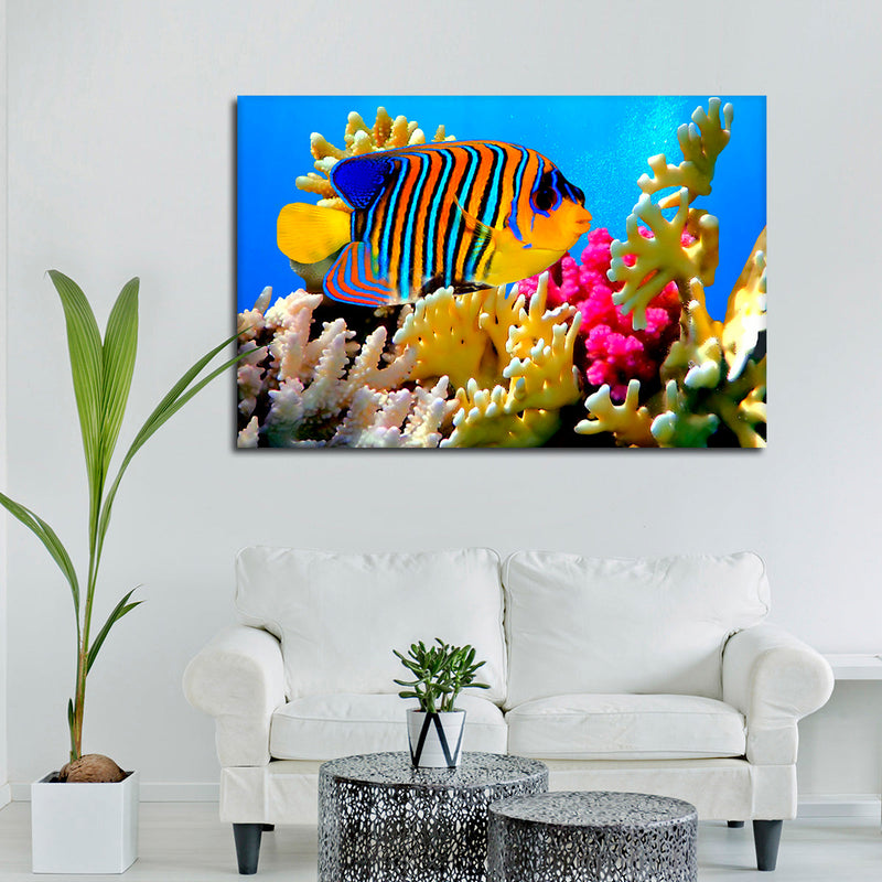 Queen Angelfish Wall Art
