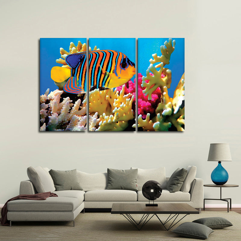 Queen Angelfish Wall Art