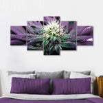 Rare Cannabis Plant Wall Art